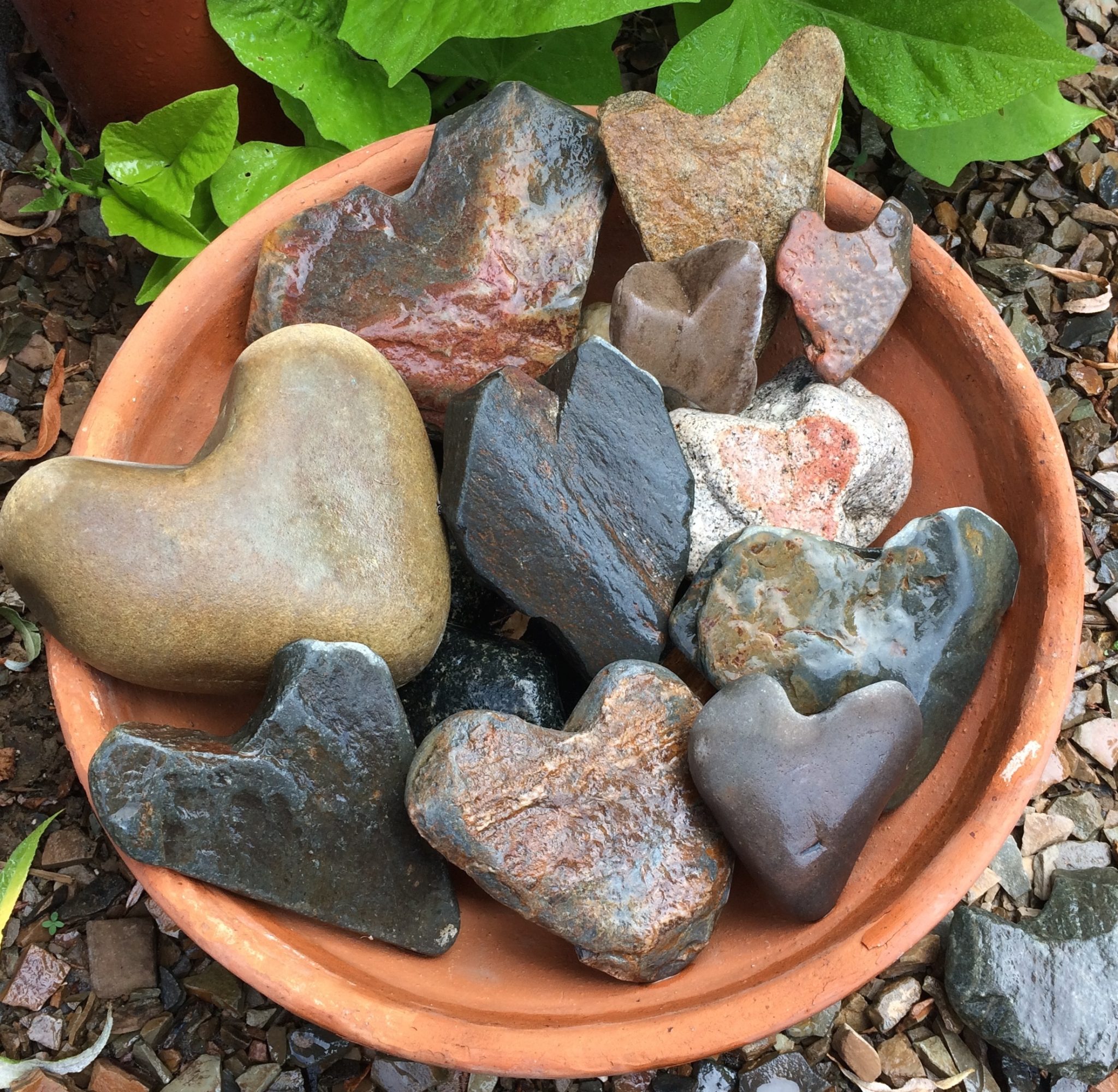 Heart rocks wet