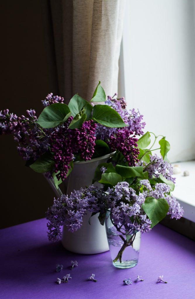 Lilacs